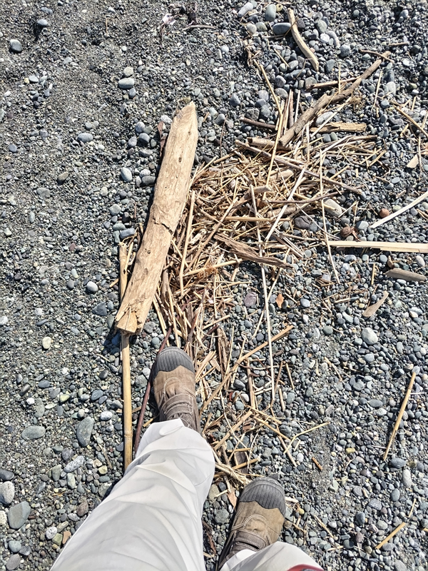 引籠りだった齋藤健一が見た木くずゴミと流木ゴミと自分の作業靴と作業ズボン