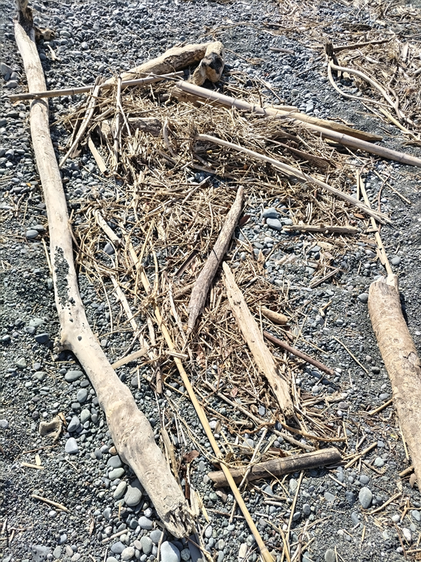元ニート引籠りの齋藤健一が海岸清掃する前に見た、沢山の流木と木くず【二宮町の茶屋にて】