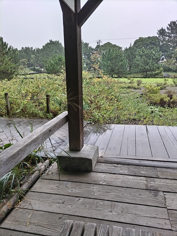 元引籠りニートの俺が見ていた自然公園内の雨で濡れた木製の床