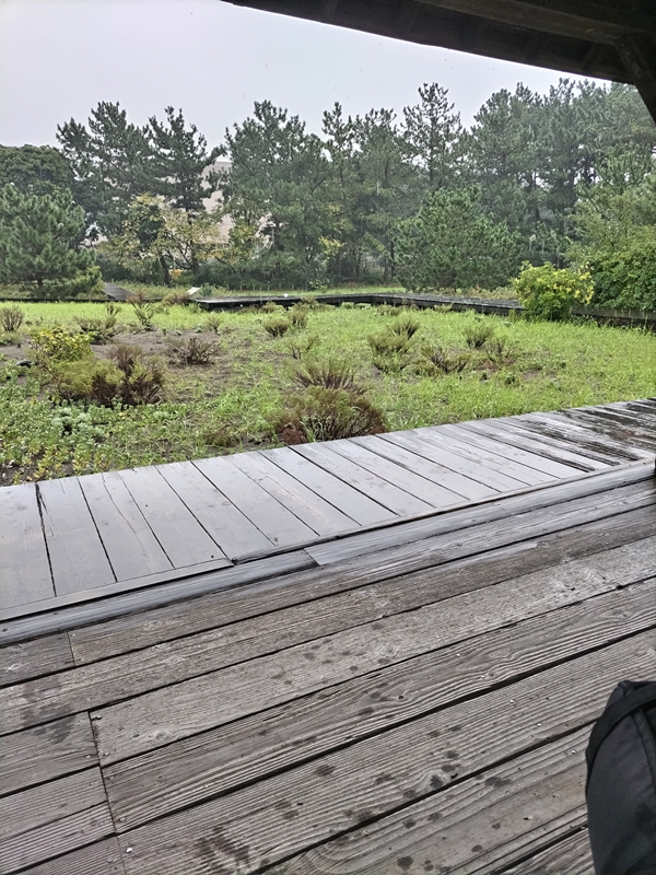 元引籠りが見ていた、雨の中、木製ベンチが雨で濡れている様子