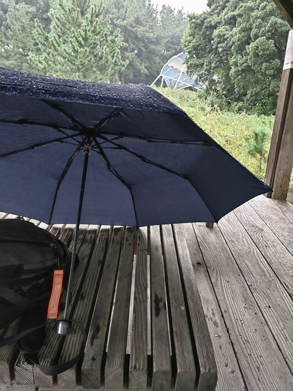 雨天の日、元引籠りが出勤前に木製ベンチの前で黒い傘が開いていた様子