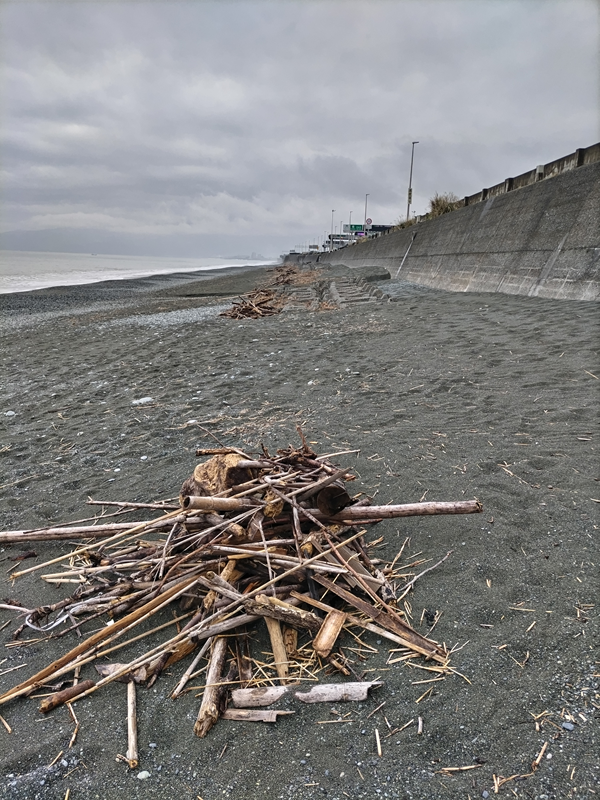 元ニート引籠りが見ていた木くずの山【西湘バイパス横の押切海岸】