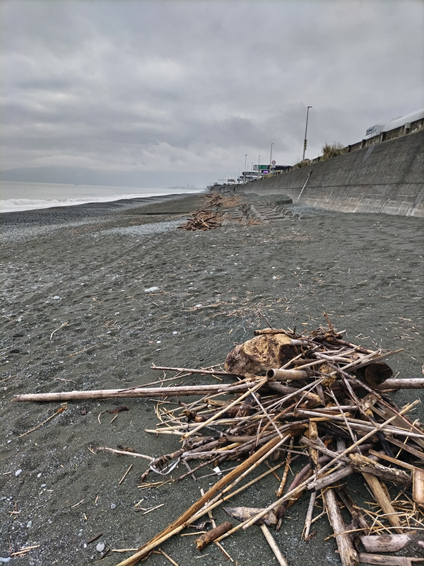 元ニートの俺が見ていた木くずの山と先に埋まるコンクリートの構造物【神奈川県の二宮町の押切海岸】