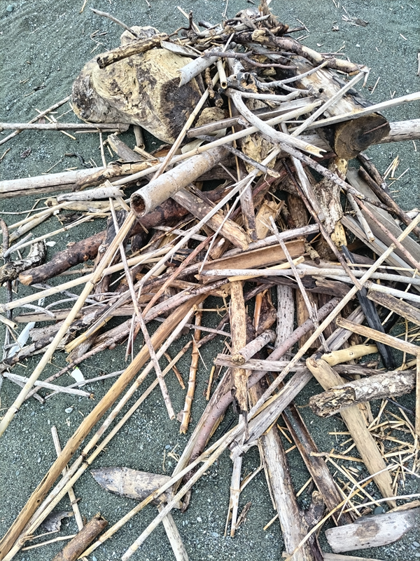 元ニートの齋藤健一が見た二宮町の押切海岸の砂地に積み上げられた木くずと流木の山