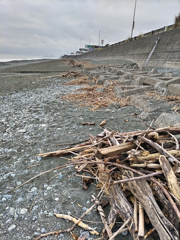 元引籠りニートの俺が撮影した木くずと流木でとんでもなく汚れていた押切海岸【神奈川県の二宮町】