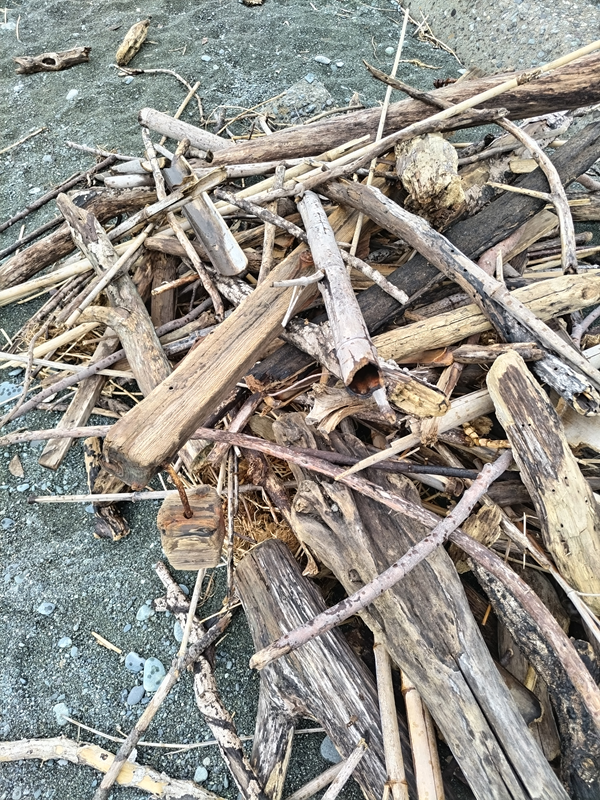 元ニート引籠りの齋藤健一が二宮町の押切海岸で一本一本手作業で集めた流木と流竹の山