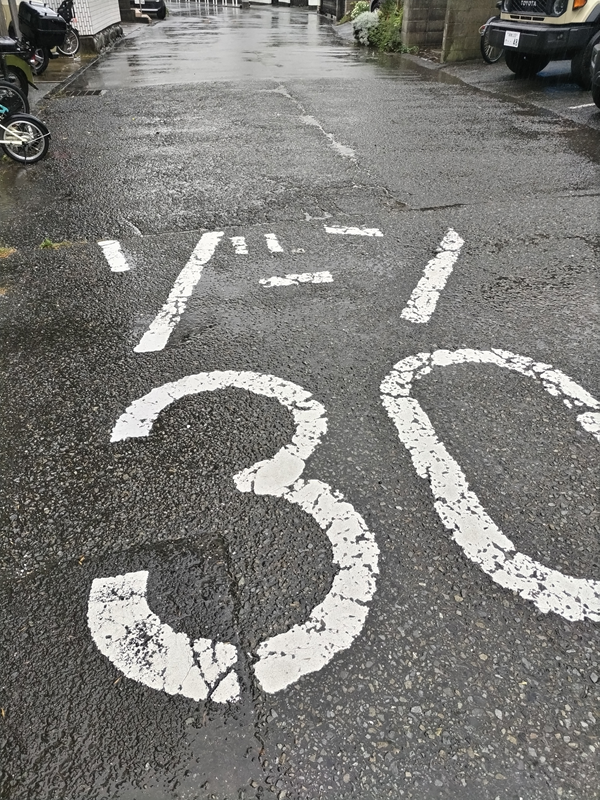 元ニート引籠りが朝に歩いていた【ゾーン30】と書かれた道路