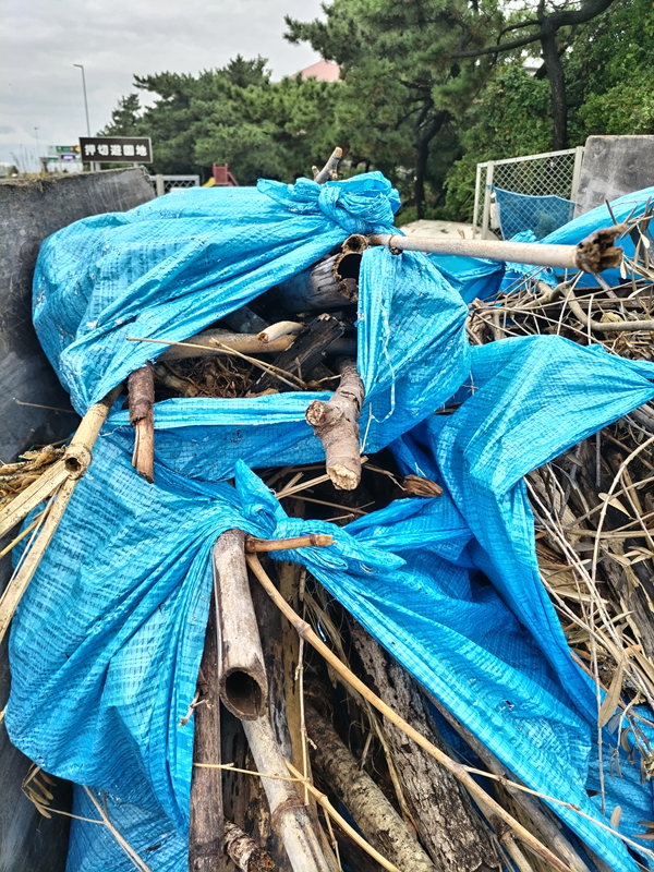 元ニート引籠りの俺がキャリアダンプの上に山積みにしていたブルーシートに包まれた木くずと流木【二宮町の押切公園横にて】