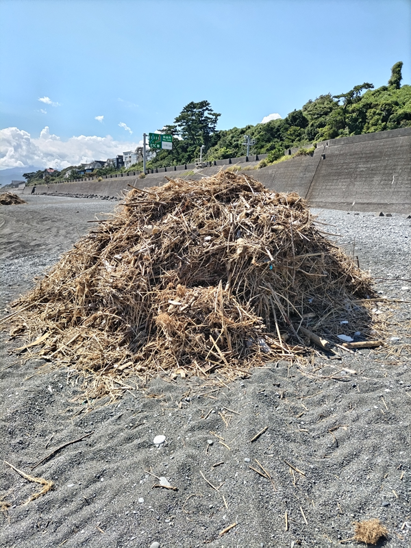 元引籠りの齋藤健一が撮影した、重機が積み上げた木くずの山