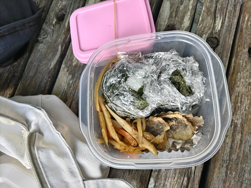 元引籠り撮影のおにぎりと魚ときんぴらごぼうの弁当