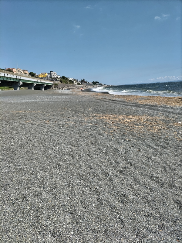 元引籠り撮影の二宮の梅沢海岸の砂浜の様子