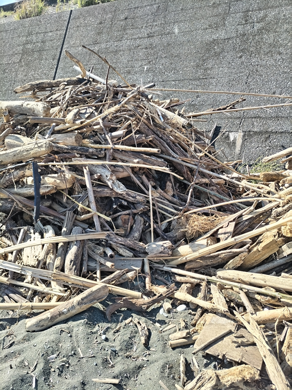 元ニート撮影の神奈川県の二宮町の梅沢海岸に積み上げられた流木の山