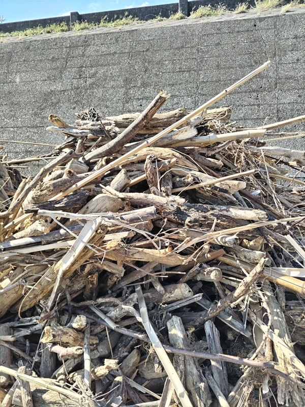 元引籠り撮影の二宮町の梅沢海岸に積み上げられた超大量の木くず類