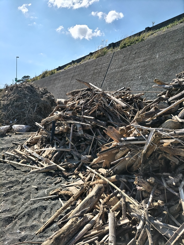 元引籠り撮影の三つの流木と木くずの山