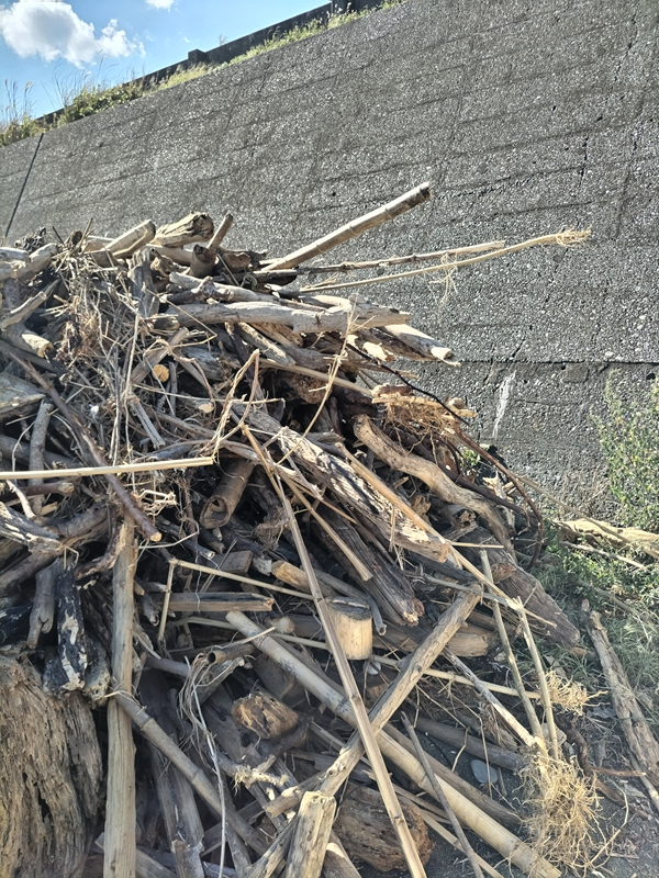 元引籠り撮影の二宮町の海岸に積み上げられた流木