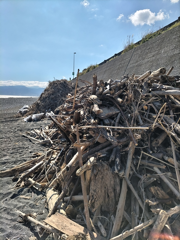 元引籠りニート撮影の二宮町の梅沢海岸の壁際に作られた流木の山