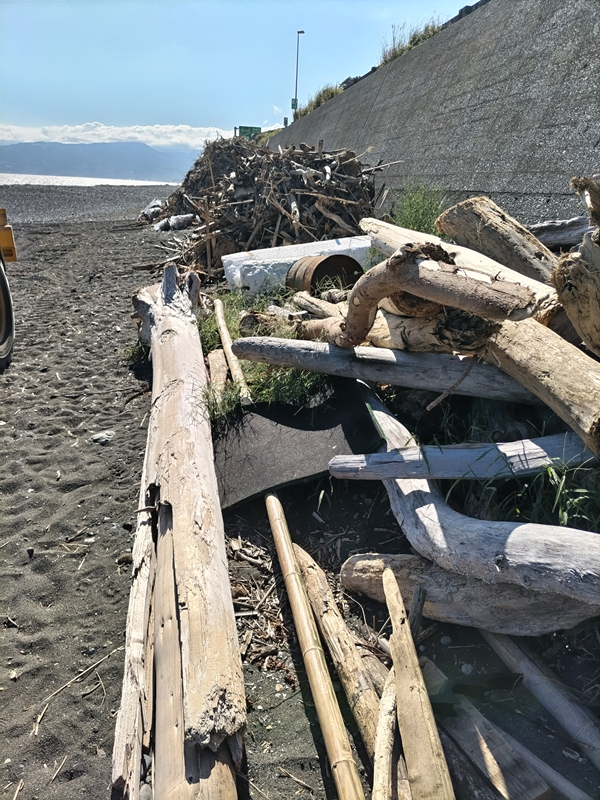 元引籠り撮影の二宮町の梅沢海岸の壁際に集められた大量の巨大な流木