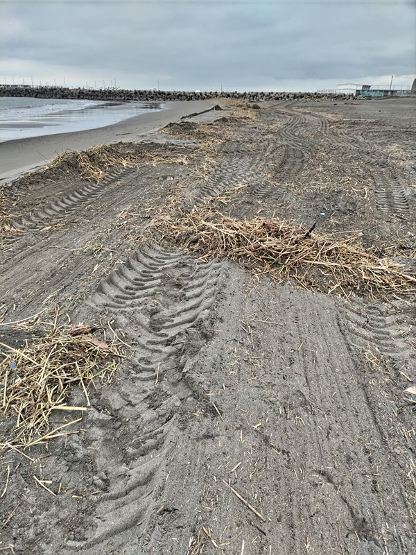 元引籠りニートの俺が清掃作業していた茅ケ崎市のサザンビーチの汚れた様子