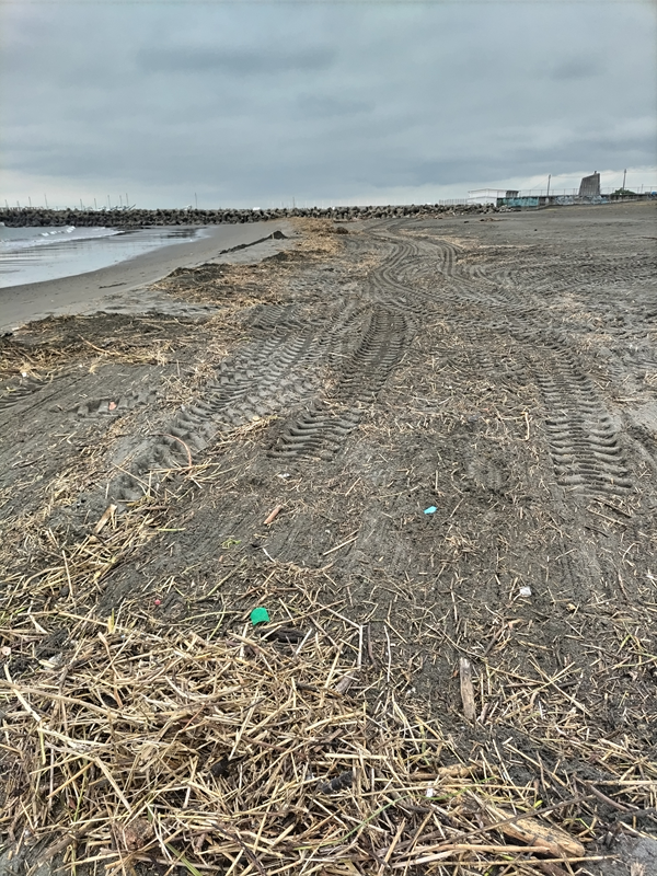 元引籠りニートの齋藤健一が海岸清掃していた茅ケ崎サザンビーチの様子