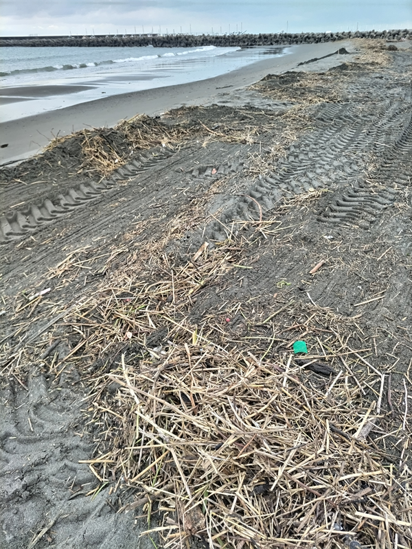 元引籠りニートの俺が撮影した、まだまだ汚れた状態の茅ケ崎サザンビーチ