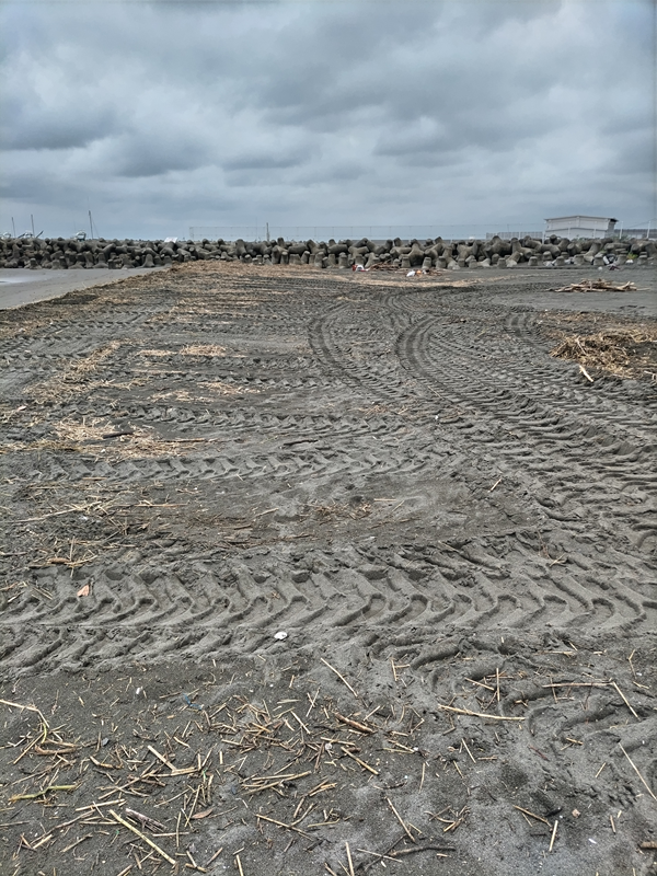 元ニート引籠りが撮影した、清掃後の茅ケ崎サザンビーチの様子