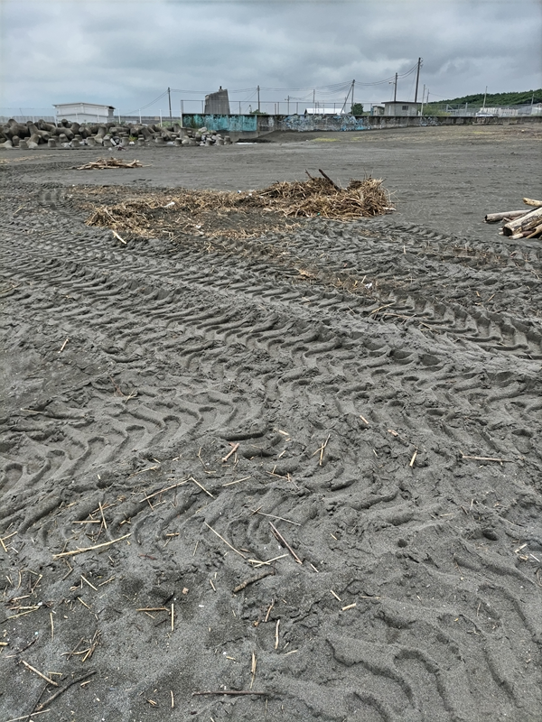元ニート引籠りが清掃していた茅ケ崎サザンビーチの様子