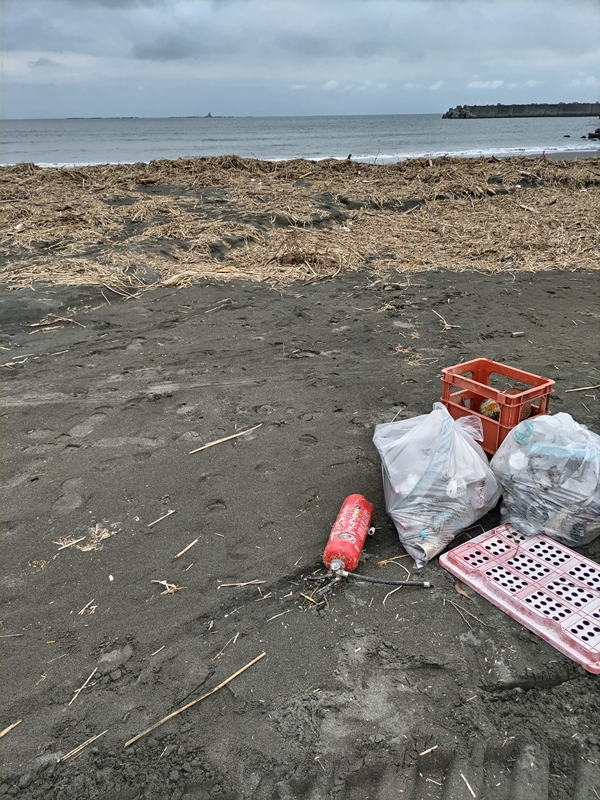 元引籠りの俺が見た、汚れた茅ケ崎サザンビーチと海