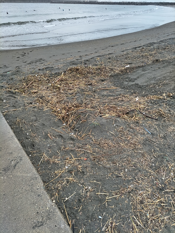 元引籠りニートの俺が撮影した茅ケ崎市サザンビーチの海と、奥に見えるサーファー