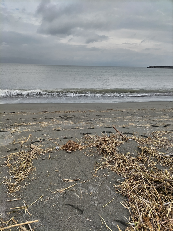 元引籠りニートの齋藤健一がこれから海岸清掃する予定の場所