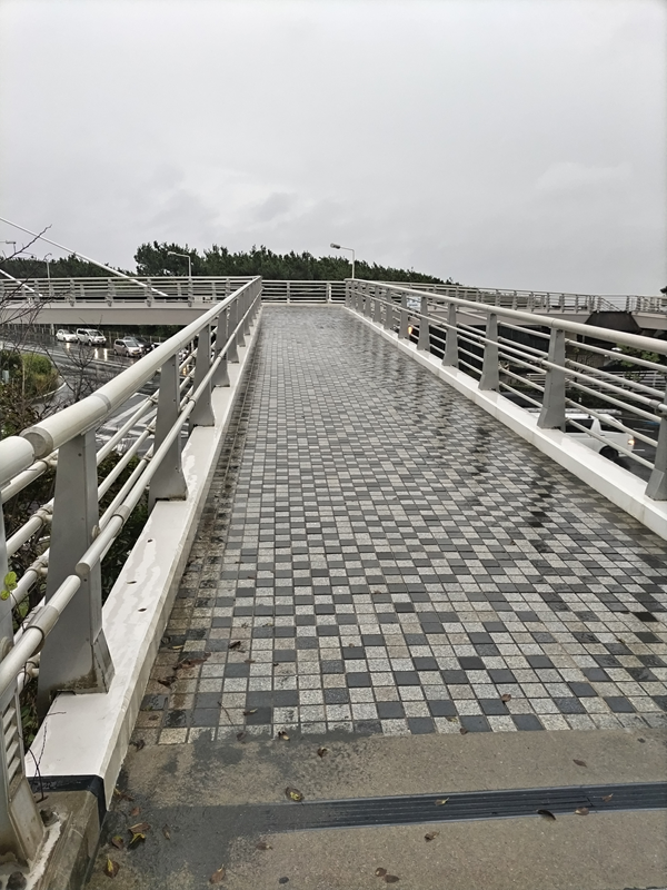 元引籠りニートが歩いていた雨で濡れた陸橋の歩道