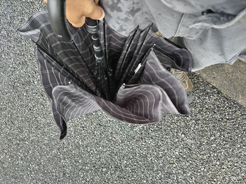 元ニートの俺が雨の日に持参した傘