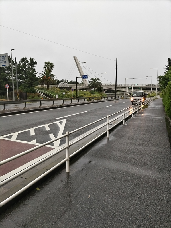 元ニートの俺が見た汐見台バス停前の道路と歩道が雨に濡れた様子