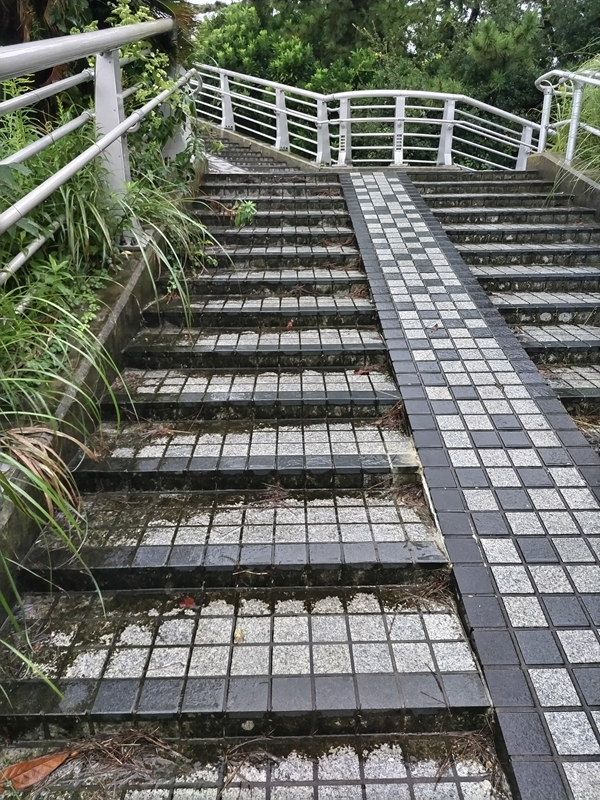 元引籠りの齋藤健一が出勤時に上がって行った職場近くの雨で濡れた階段