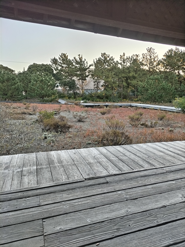 元ニートのセル齋藤が見ていた公園内の木製床