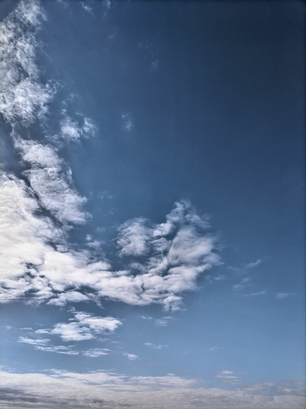 元ニートのセル齋藤が快晴の空の雲を見ている様子