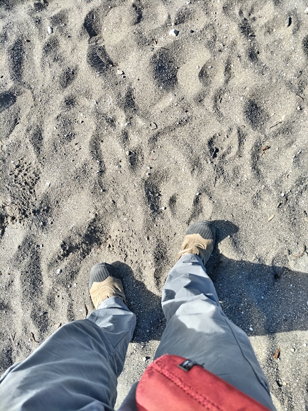 引籠りニートだったセル齋藤が海岸清掃の作業着で砂浜に立っている様子