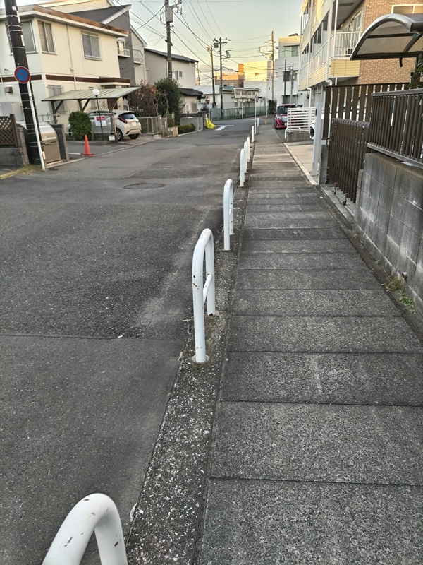 元ニートのセル齋藤が白い鉄柵の内側の歩道を見ている様子