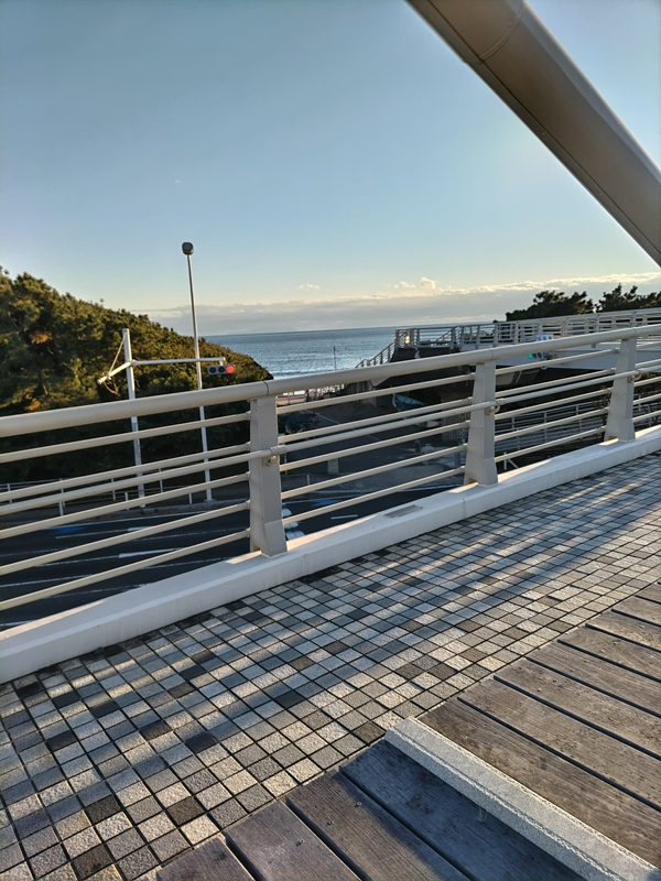 引籠りニートだったセル齋藤が茅ケ崎市の浜須賀の海を歩道橋の上から見ている様子