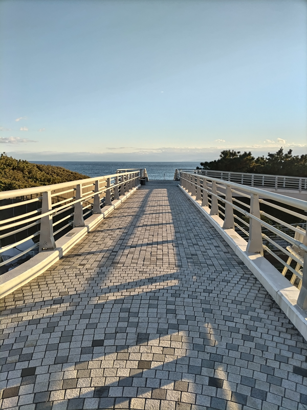 元引籠りニートのセル齋藤が眺めていた浜須賀の海へと続く歩道橋の上の道