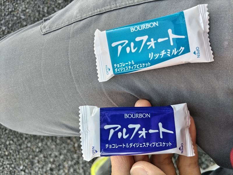 引籠りニートだったセル齋藤が水色のアルフォートと青色のアルフォートを見ている様子