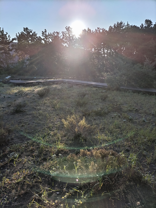 元ニート引籠りの齋藤健一が見ていた早朝の白く輝く太陽