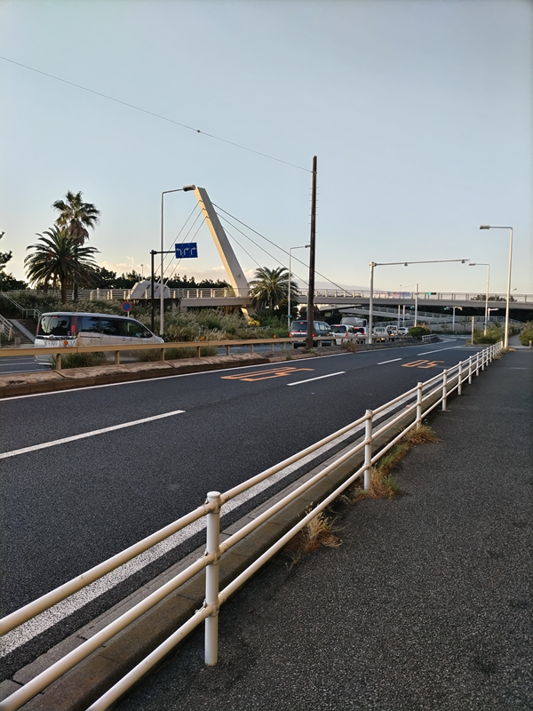 元ニート引籠りが見ていた職場へ続く歩道橋とその手前の道路と歩道