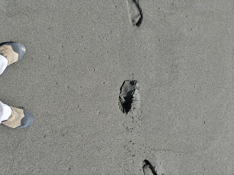 元ニートが立っていた砂浜に付けられた足跡