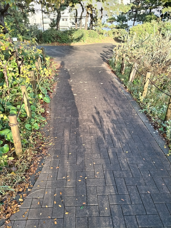 元ニート引籠りの齋藤健一が歩いていた茅ケ崎市の自然公園内の歩道