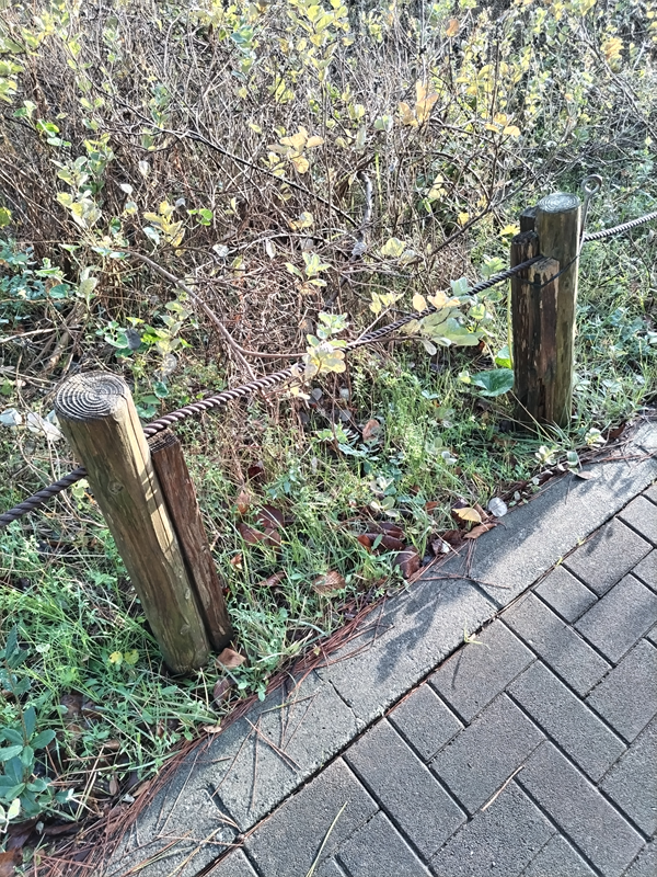 引籠りニートだった齋藤健一が見ていた公園内の低い杭