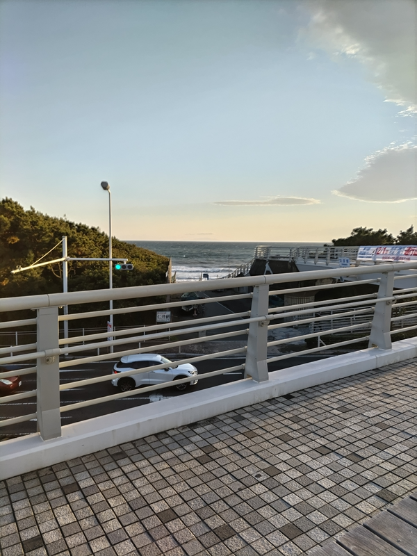 引籠りだった齋藤健一が歩道橋から見ていた夕刻の国道134号線の青信号