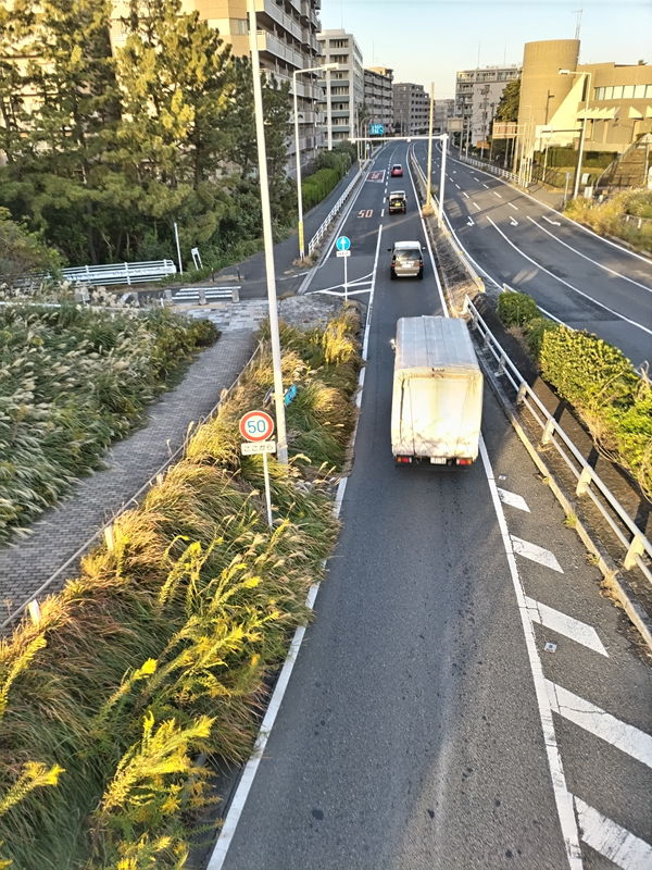 引籠りニートだった齋藤健一が歩道橋の上からトラックを眺めている様子