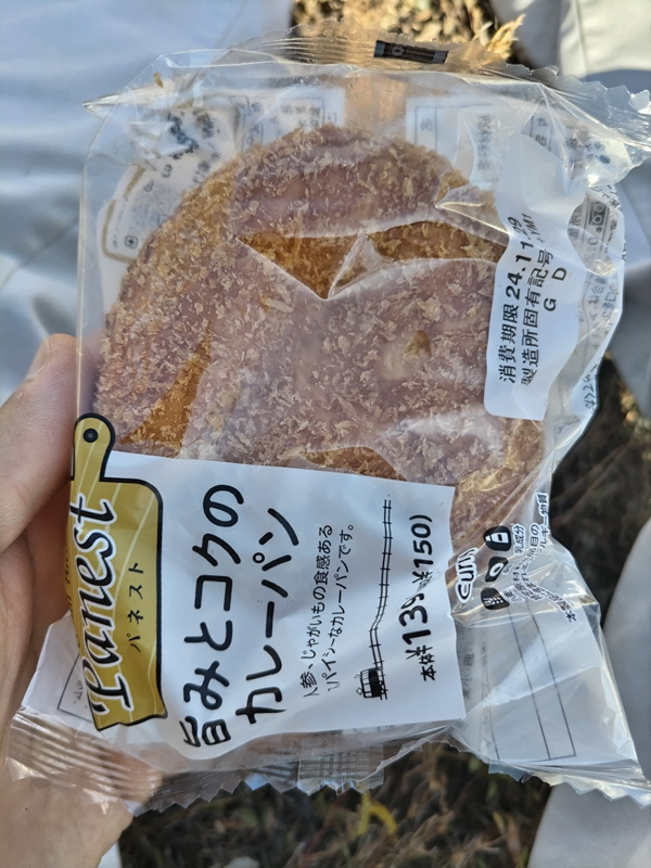 元ニート引籠りが食べていた昼食用の旨みとコクのカレーパン