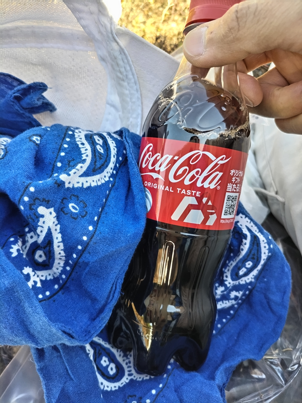 元ニートが海岸清掃中に飲んでいた赤いラベルのコカ・コーラのペットボトル