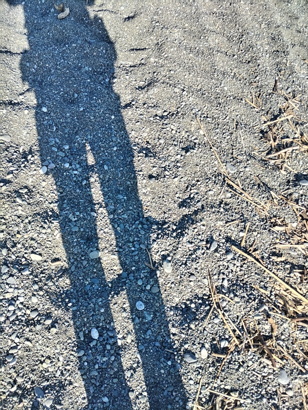 引籠りだった齋藤健一が海岸清掃中に海岸に立っていた時に写った影